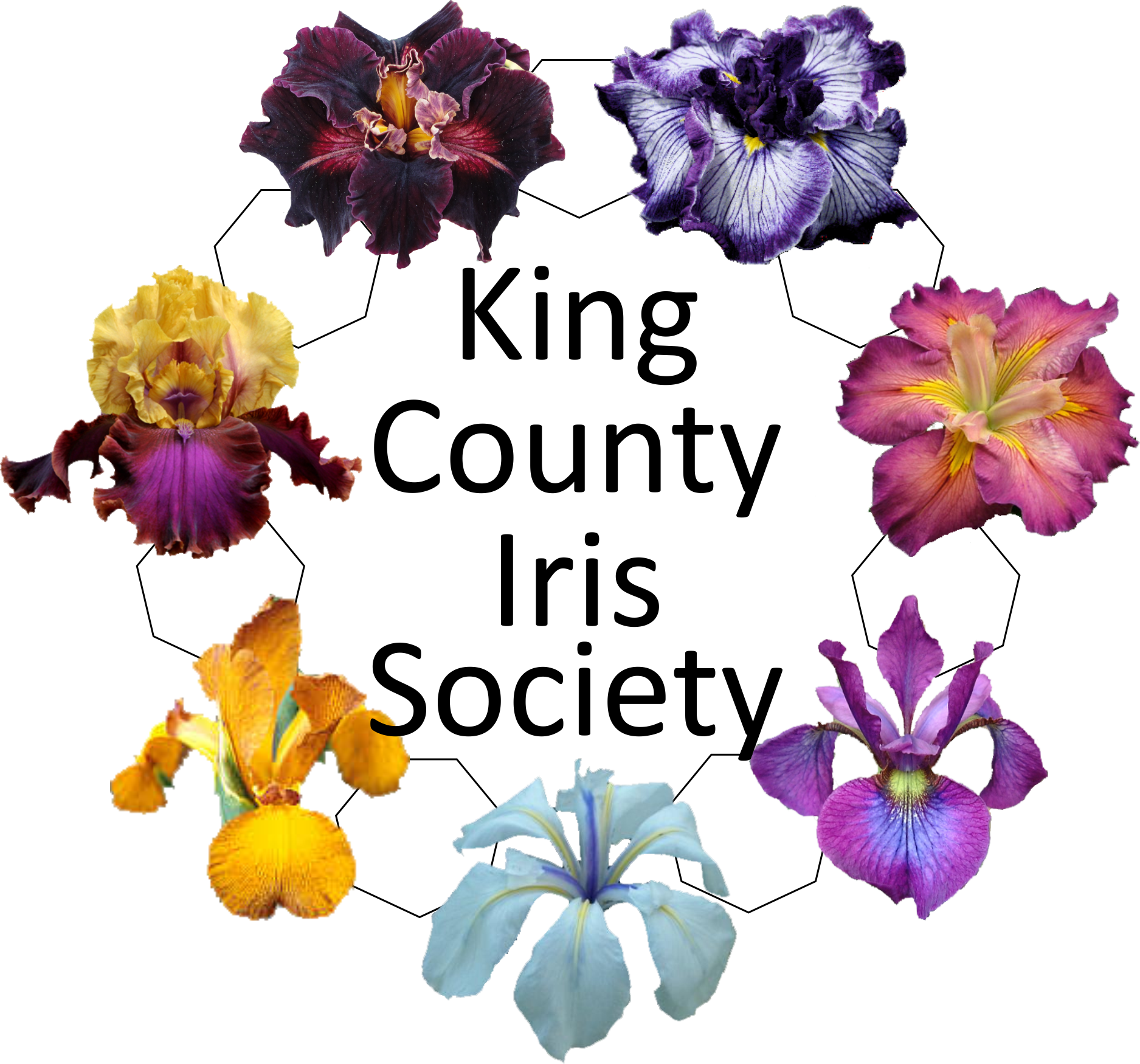 300dpi, Download File Clipart (1875x1750), Png Download