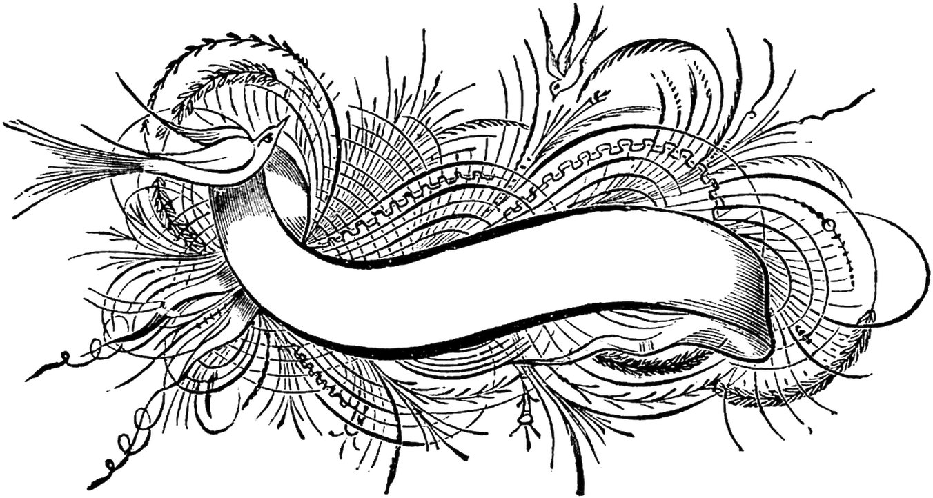 Graphic Illustration, Typography, Lettering, Digital Clipart (1600x963), Png Download