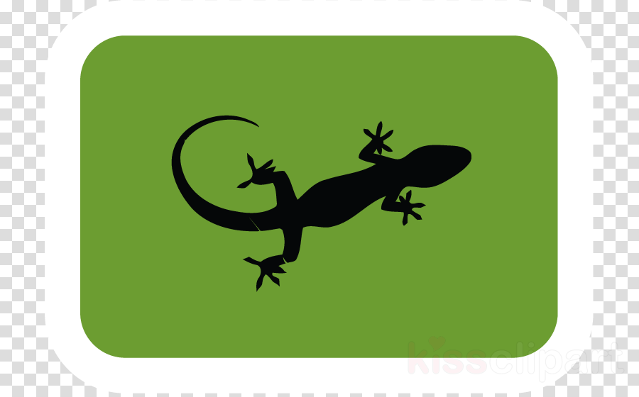 Clipart Resolution 773*555 - Clip Art - Png Download (900x560), Png Download