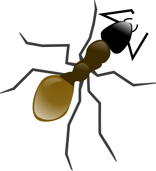 Ant Clip Art - Png Download (540x593), Png Download