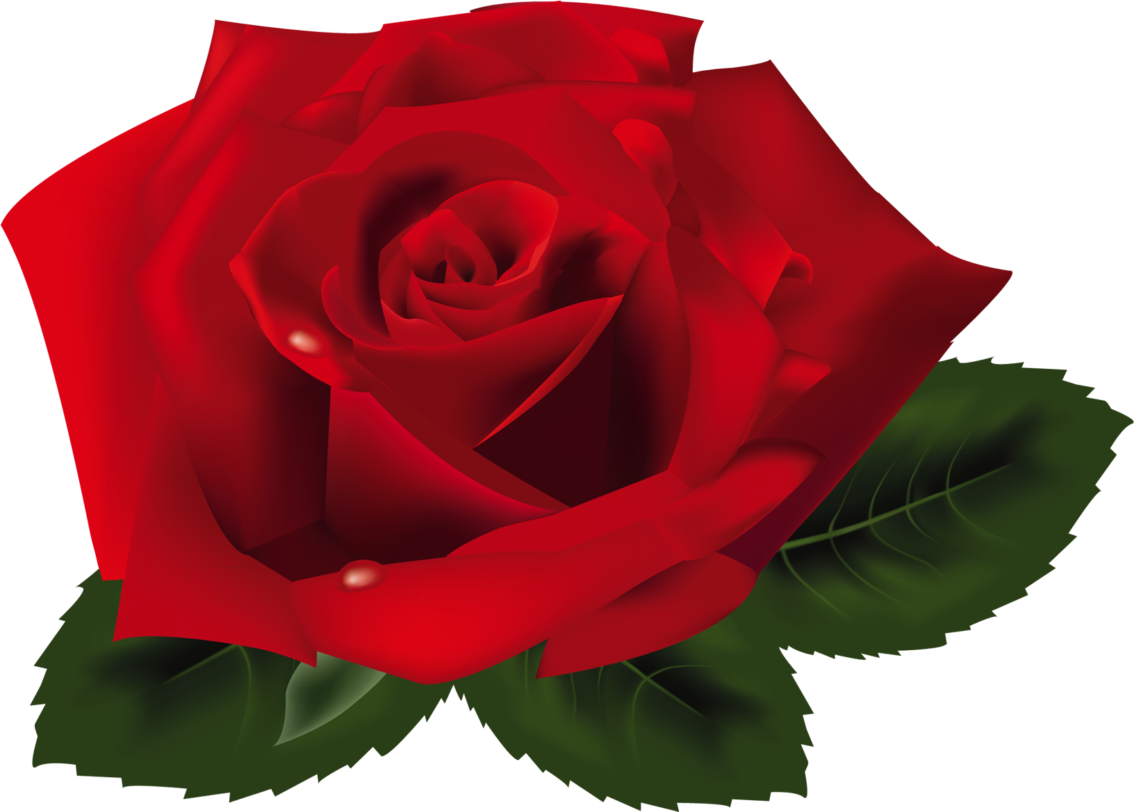 Rose Png - Rose 3d Png Clipart (1673x1282), Png Download