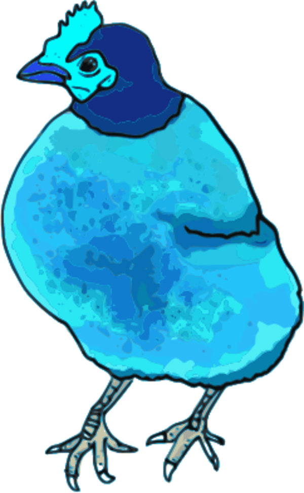 Vector Clip Art - Red Hen Shower Curtain - Png Download (600x974), Png Download