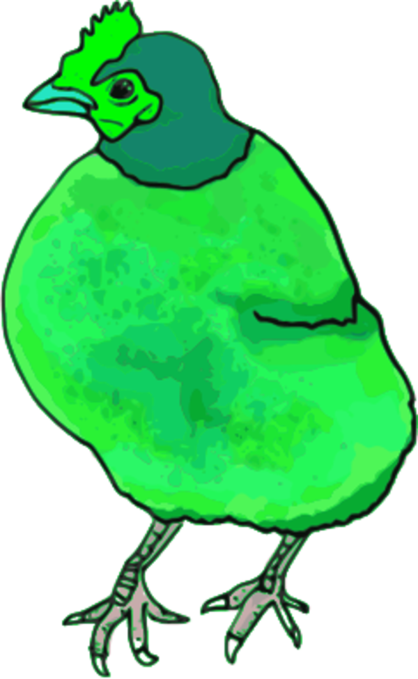 Vector Clip Art - Red Hen Shower Curtain - Png Download (600x974), Png Download