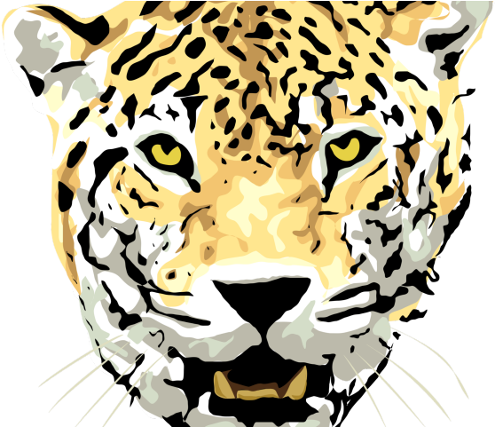 Head Clipart Cheetah - Jaguar Animal Drawing Face - Png Download (640x480), Png Download