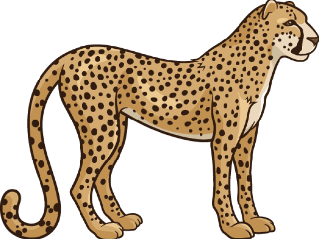 Realistic Clipart Cheetah - Clipart Cheetah - Png Download (640x480), Png Download