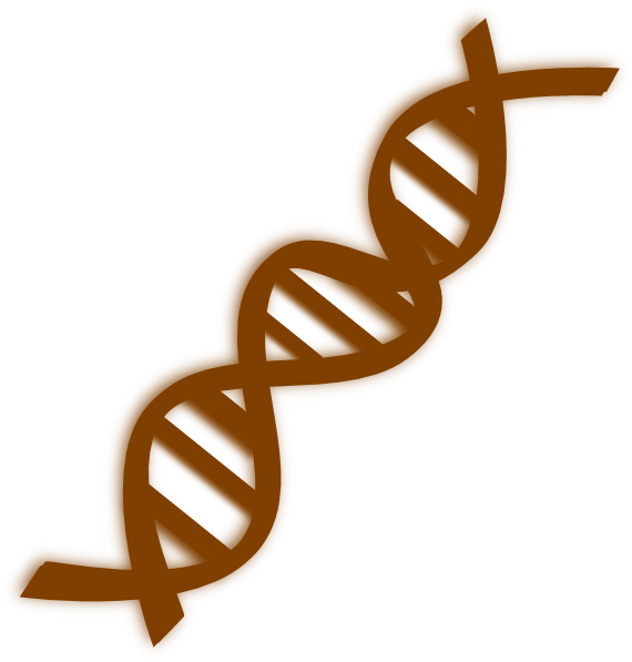 Portable Network Graphics Clipart (552x596), Png Download