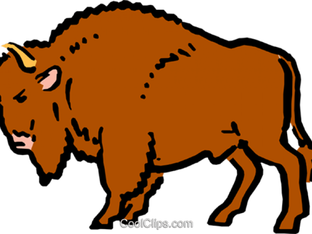 Buffalo Clipart Png - Dirty Buffalo Transparent Png (640x480), Png Download