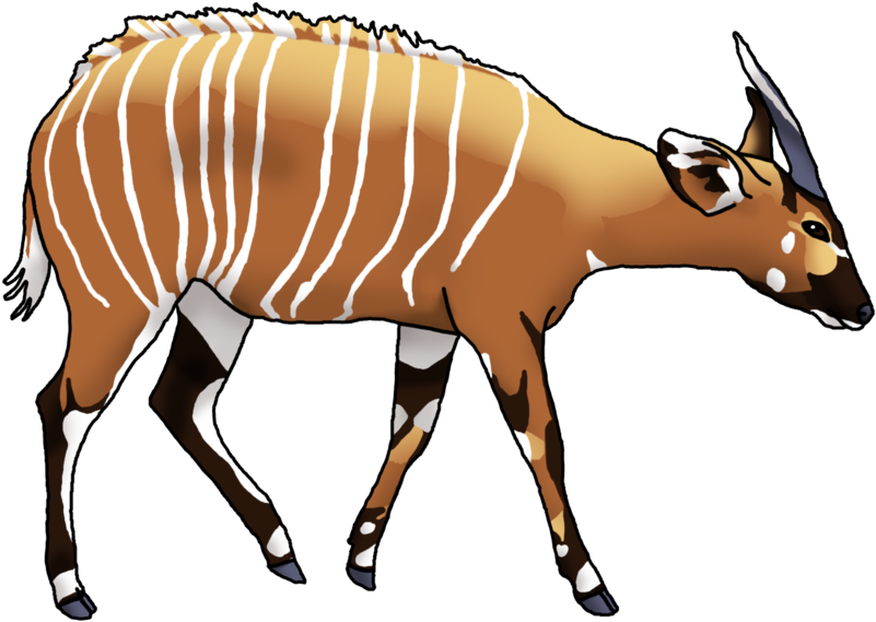 African Buffalo Clipart Nyala - Nyala Clipart - Png Download (640x480), Png Download