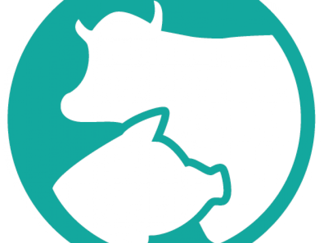 Steak Clipart Ground Beef - Png Download (640x480), Png Download