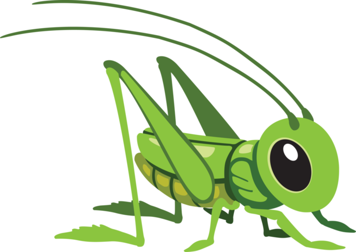Clipart Black And White Stock Png - Cartoon Grasshopper Transparent Png (699x495), Png Download
