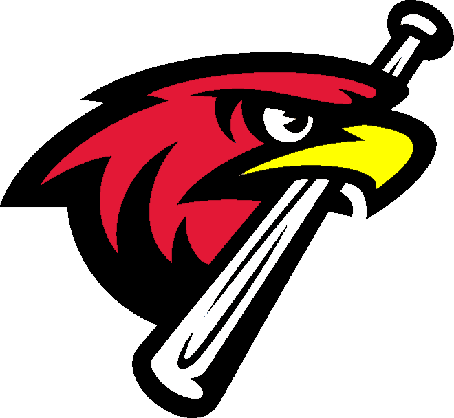 Hawk Clipart Nighthawk - Air Force Falcons Baseball Team - Png Download (660x608), Png Download