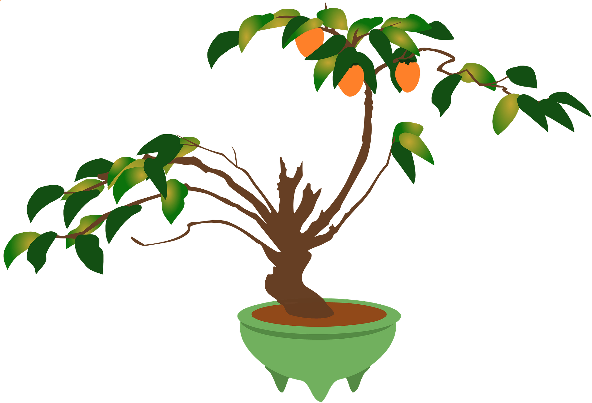 Branch Bonsai Flowerpot Ornamental Plant Houseplant - Tree Pot Clipart - Png Download (1101x750), Png Download