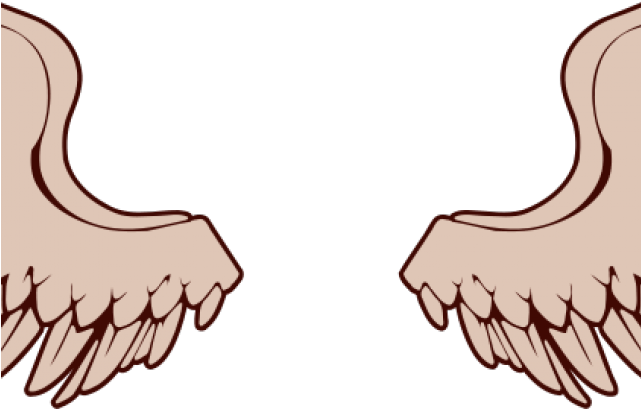 Halo Clipart Angel's Wing - Clip Art - Png Download (640x480), Png Download