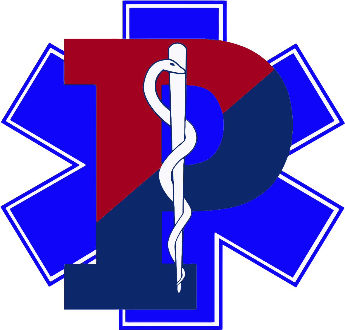 Svg Transparent Stock Ambulance Clipart Ems - Star Of Life - Png Download (1200x1148), Png Download