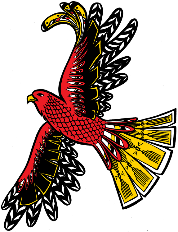 Eagles Clipart Life Cycle - Hawk - Png Download (618x800), Png Download