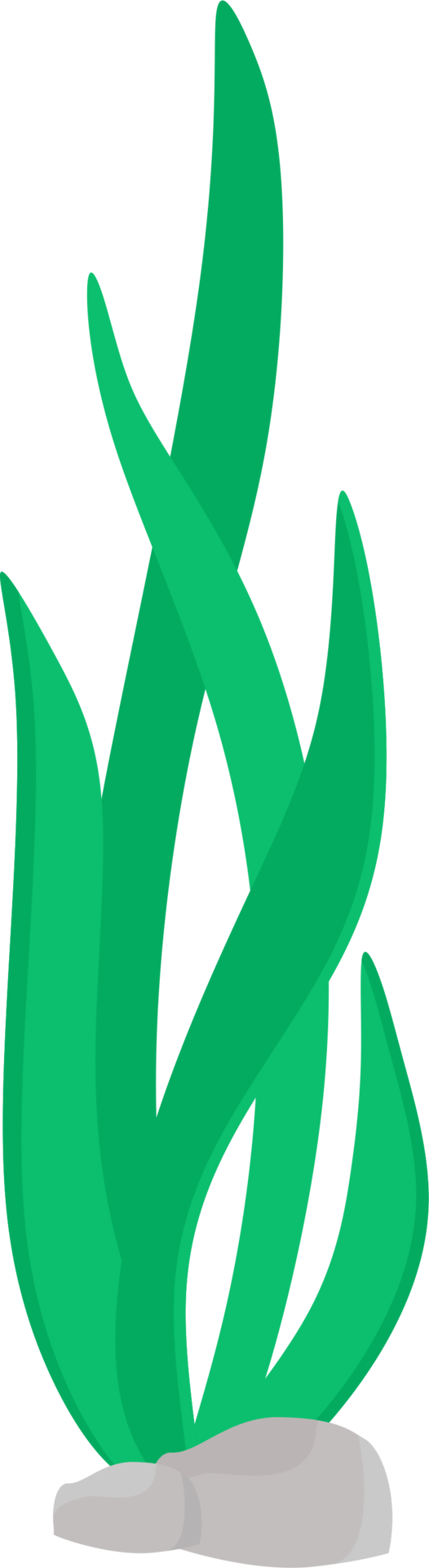 Fun Seaweed Clip Art Clipart - Clip Art Sea Weed - Png Download (526x1920), Png Download