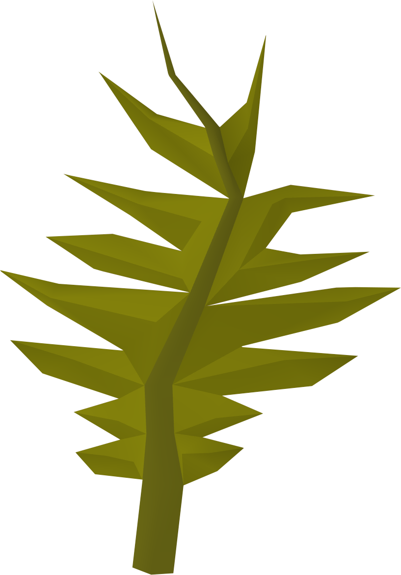 Seaweed Clipart Swamp - Wiki - Png Download (817x1171), Png Download