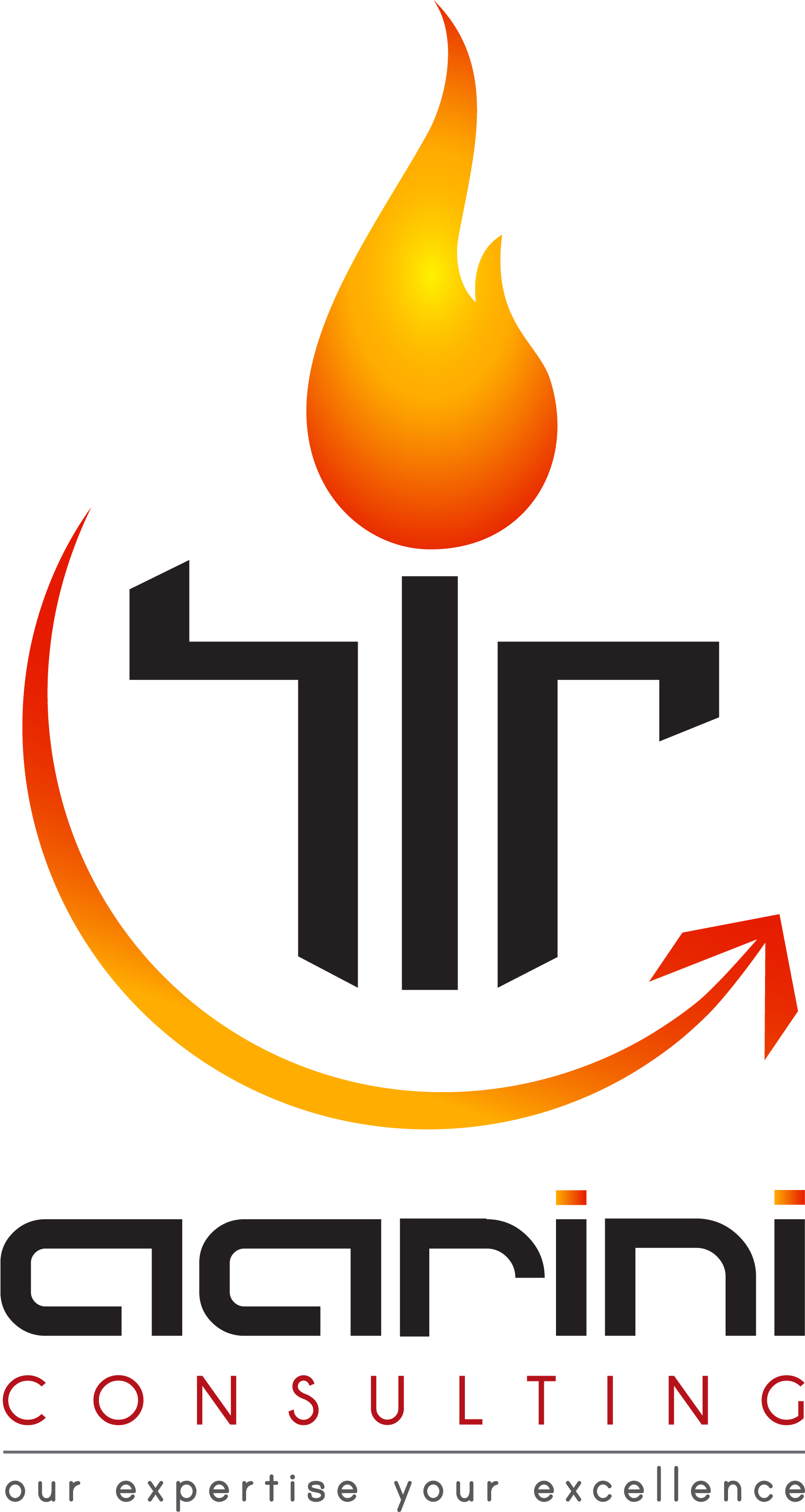 New Logo For Aarini Consulting Corporate Identity, Clipart (2008x3307), Png Download