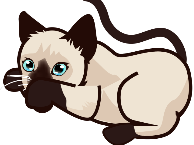Siamese Cat Clipart Siamese Twin - Png Download (640x480), Png Download