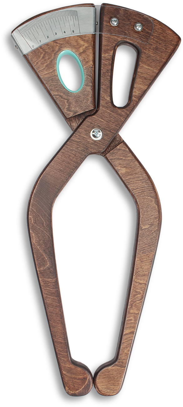 Vissla X Olive Tree Caliper Clipart (587x1302), Png Download
