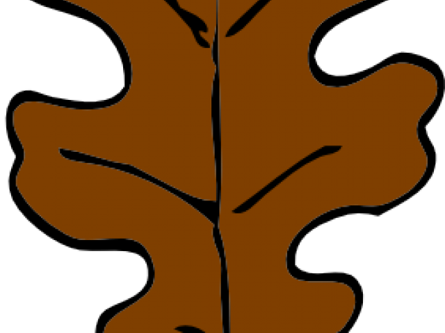 Acorn Clipart Brown - Png Download (640x480), Png Download