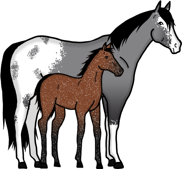 If And When A User Reaches 0 'hands', They Will Either Clipart (600x600), Png Download