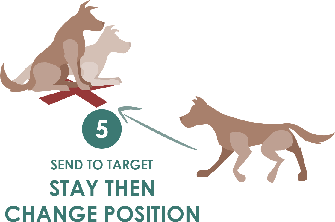 Send To Target, Position Change Clipart (1119x743), Png Download