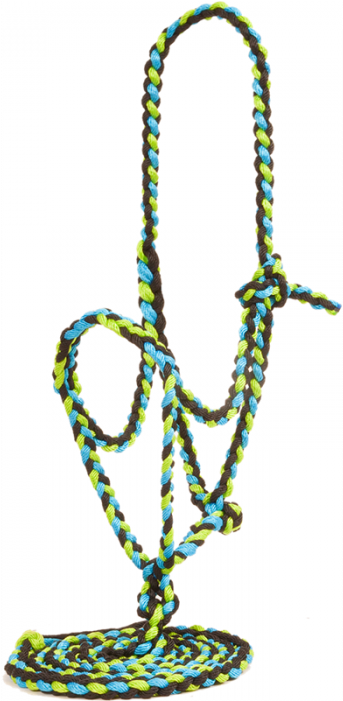 Mustang Flat Nose Braided Halter Clipart (700x700), Png Download