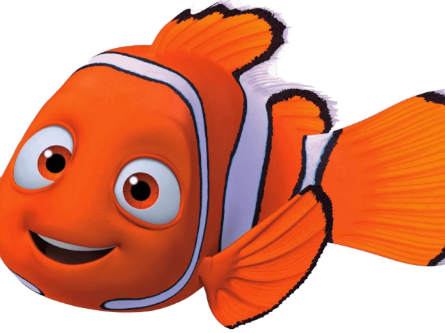 Clownfish Clipart Transparent - Png Download (640x480), Png Download