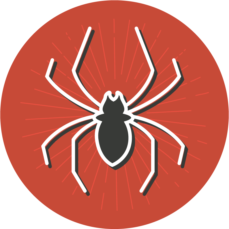 Fear Clipart Dead Spider - Png Download (800x800), Png Download