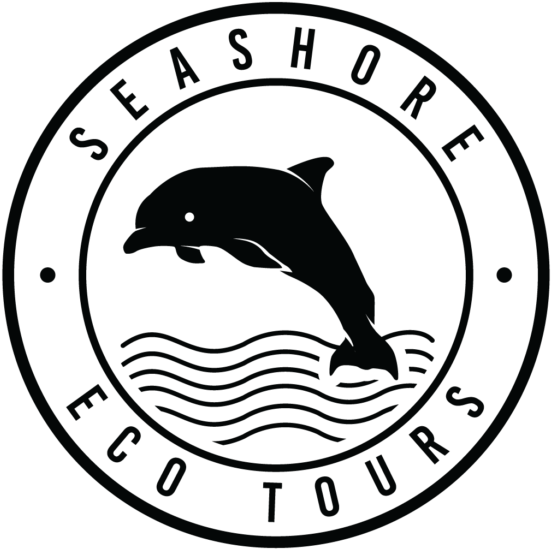 How Will I Know Who To Meet Clipart (1024x678), Png Download