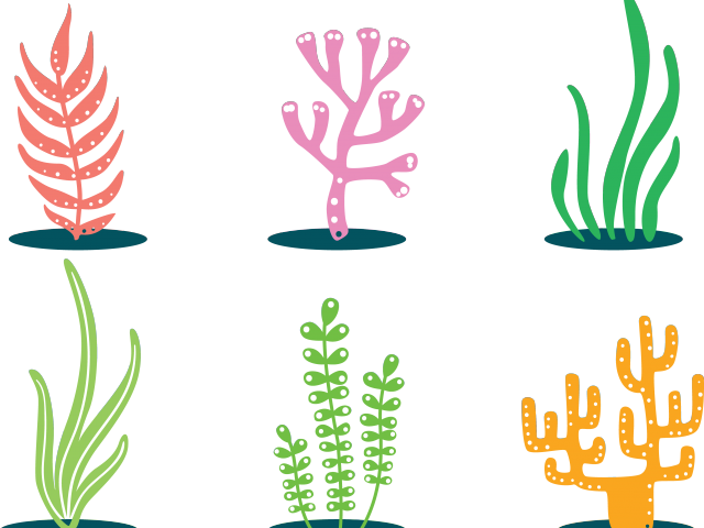 Flowerpots Clipart Svg - Png Download (640x480), Png Download