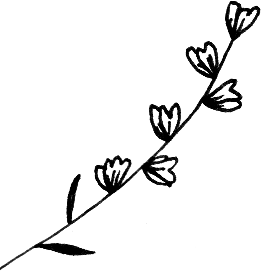 Flowers Kitchen Illustration Clipart (902x975), Png Download