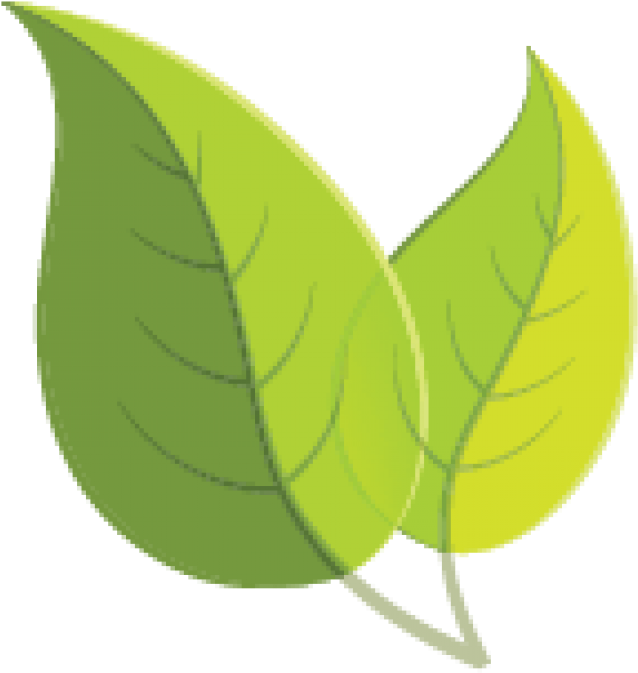 Spring Seed Line-up Clipart (921x818), Png Download