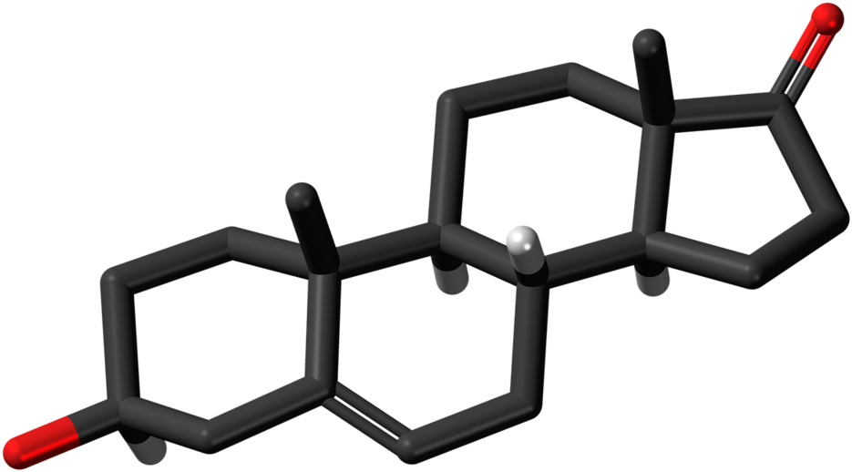 Dehydroepiandrosterone Androstenolone Chemistry, Science Clipart (1024x607), Png Download