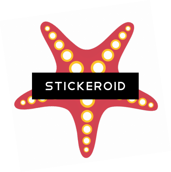 Cute Starfish Clipart (577x578), Png Download