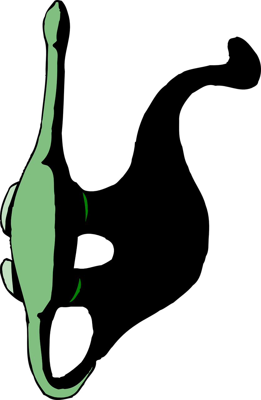 Top View Shadow Clipart (836x1280), Png Download