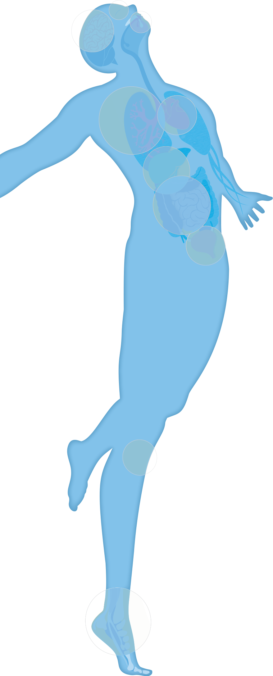 Your Amazing Body Clipart (879x2176), Png Download
