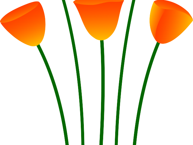 Orange Flower Clipart Summer Flower - Png Download (640x480), Png Download