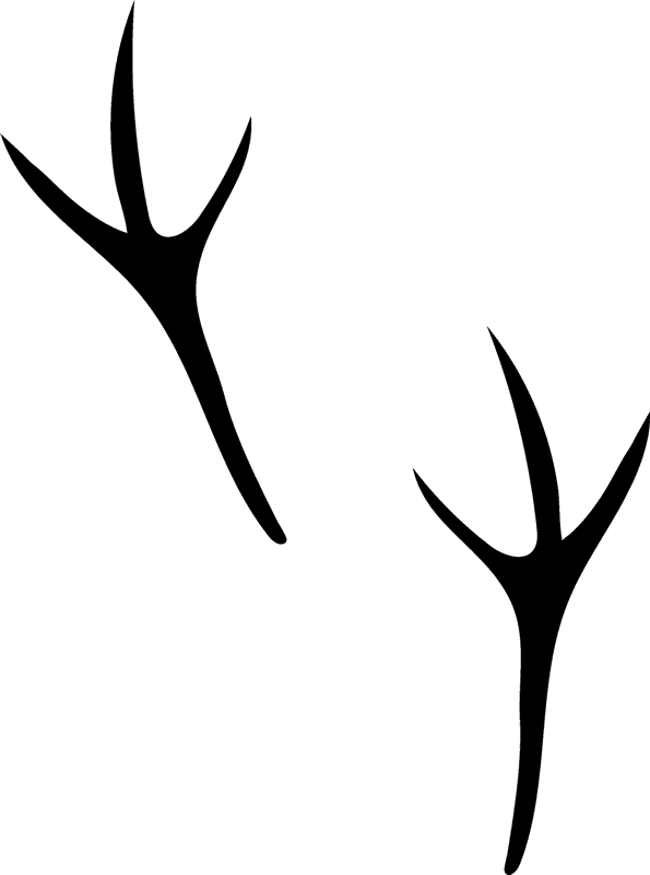 Sparrow Tracks Rubber Stamp Clipart (595x800), Png Download