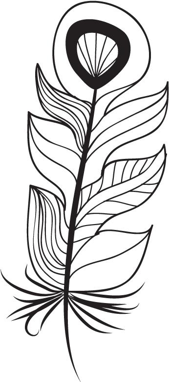 Feather Clipart (564x904), Png Download