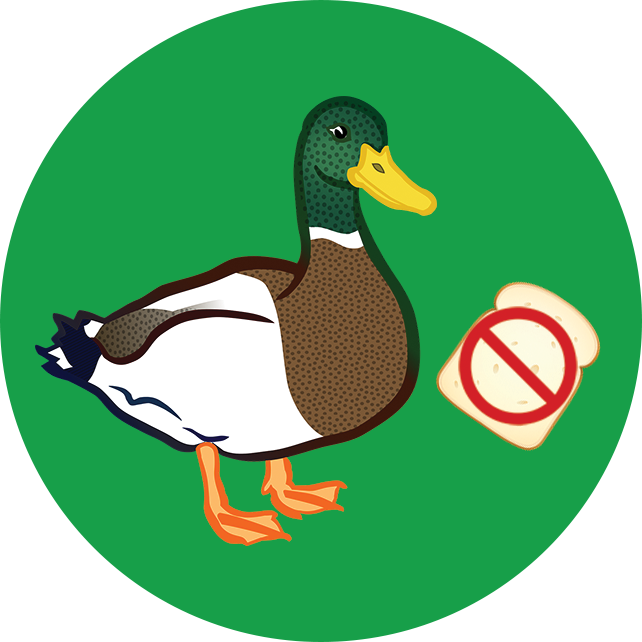 Wildlife & Bread Clipart (642x642), Png Download