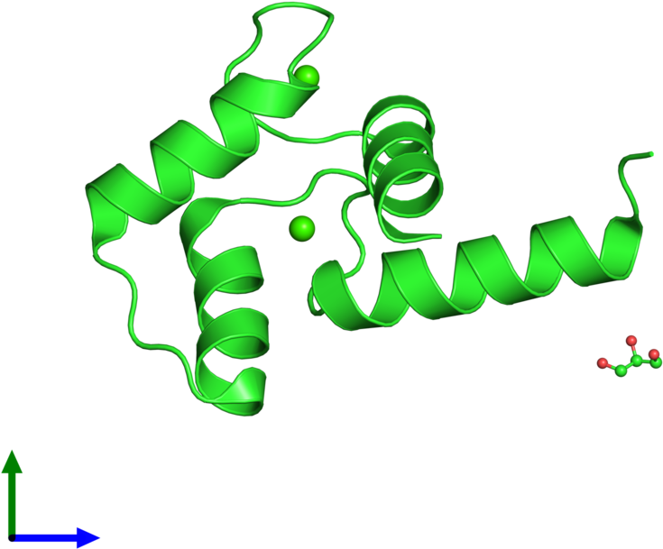 Ribbon Structure Of 2i08 Clipart (800x800), Png Download