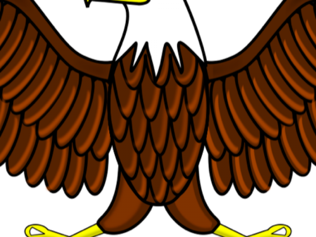 White Tailed Eagle Clipart Shaheen - Png Download (640x480), Png Download