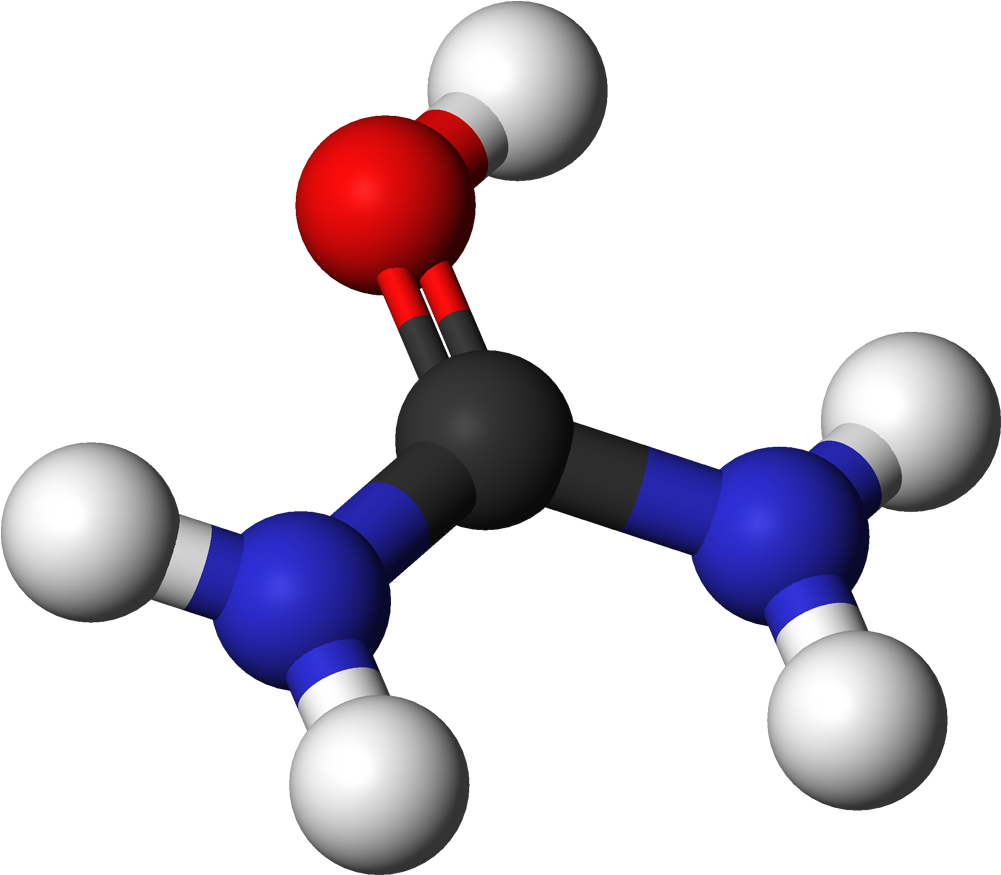 Urea Cation 3d Balls Clipart (1100x974), Png Download
