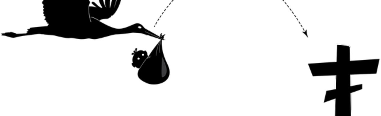 Moving From Cradle To Grave Clipart (1286x386), Png Download