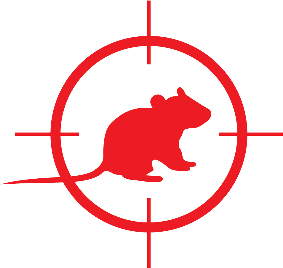 Rats Clipart (1437x1413), Png Download