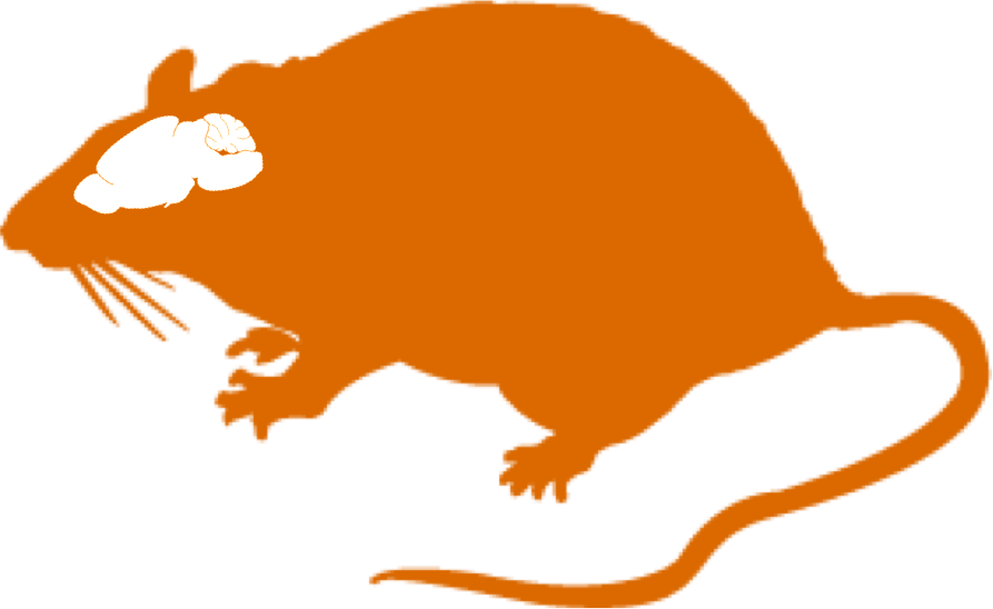 Clipart Of Pharmaceuticals, Predict And Rat Is - Png Download (893x548), Png Download