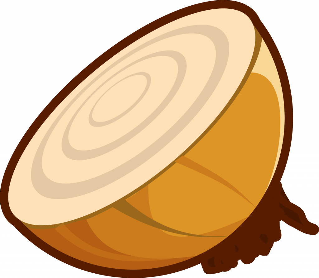 Onion-1024x893 Clipart (1024x893), Png Download