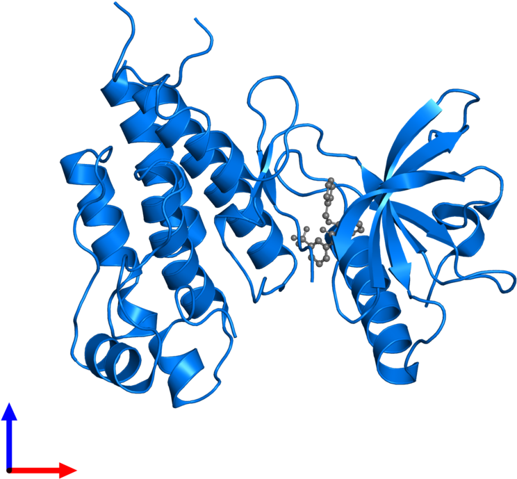 <div Class='caption-body'>pdb Entry 5ew3 Contains 1 Clipart (800x800), Png Download